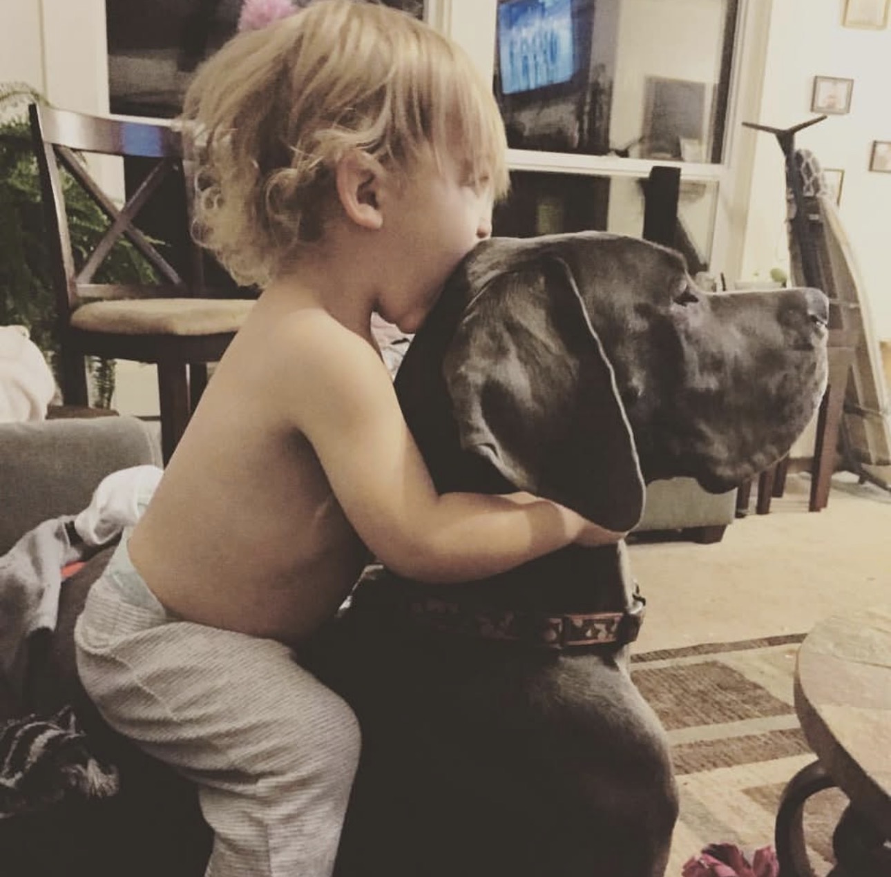 A treasured family and pet memory